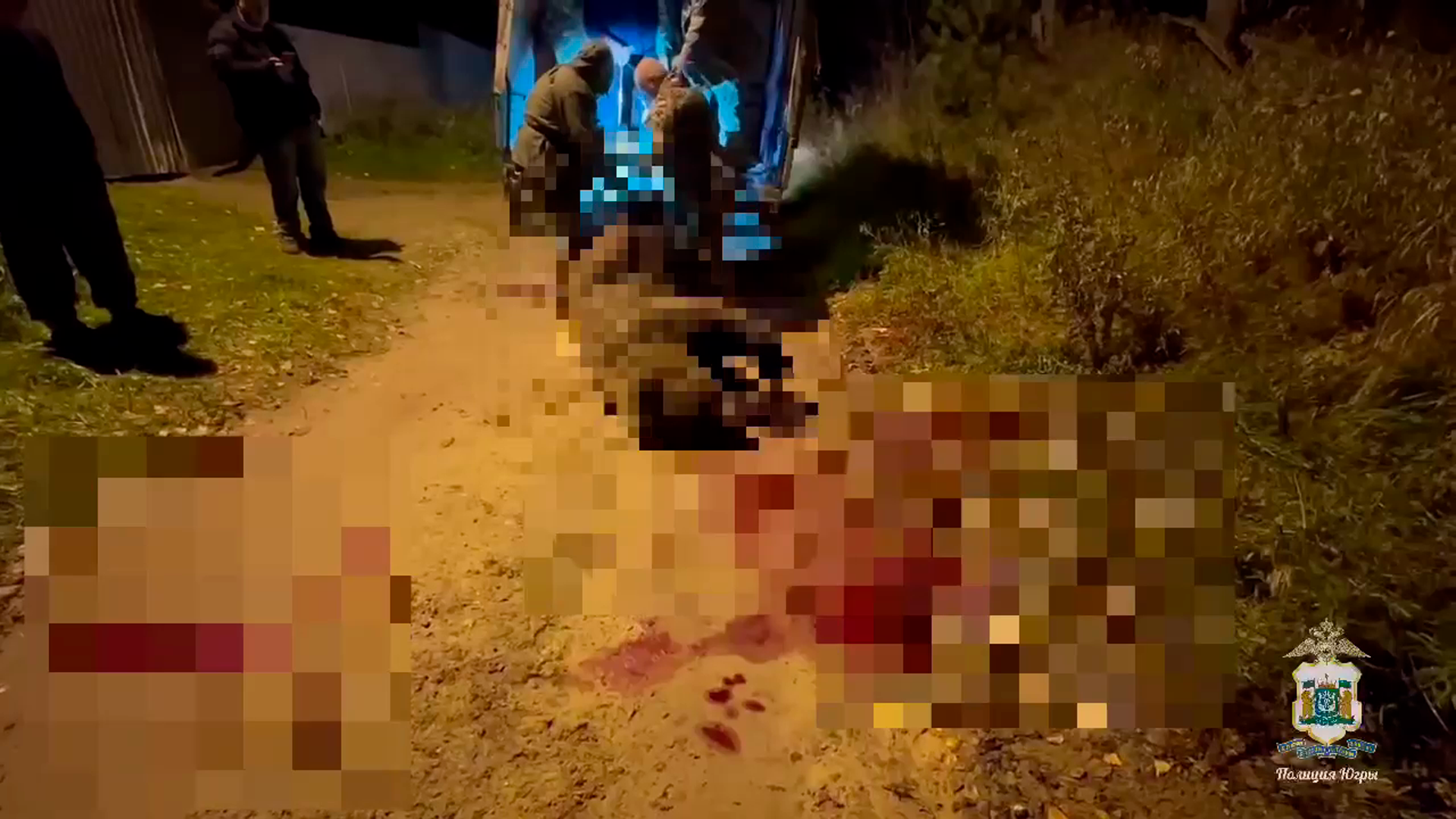 Полицейские обезвредили медведя, забравшегося в дом пенсионерки в Югре