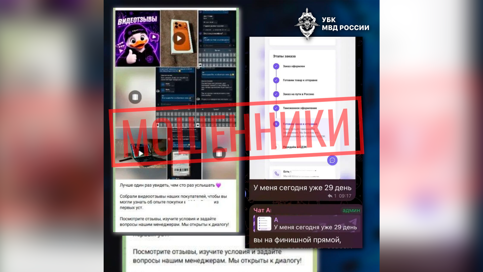 МВД предупредило о мошенничестве со сгенерированными видео знаменитостей
